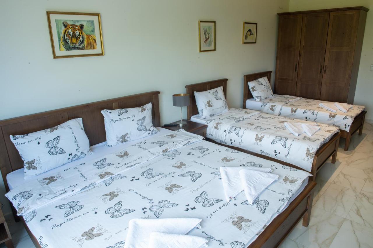 Zoo Misic Prenociste Hotel Vranje Exterior photo